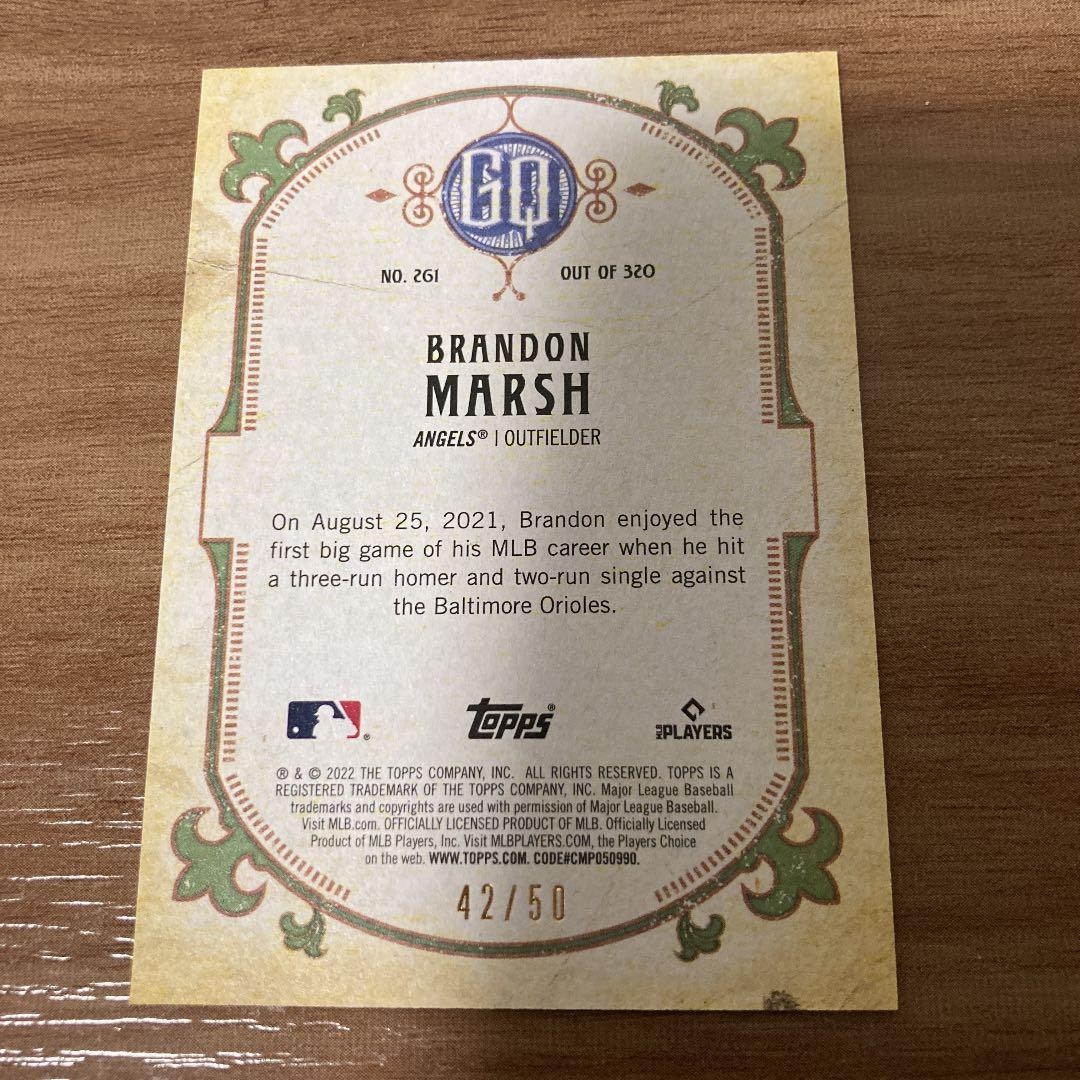 ブランドンマーシュ