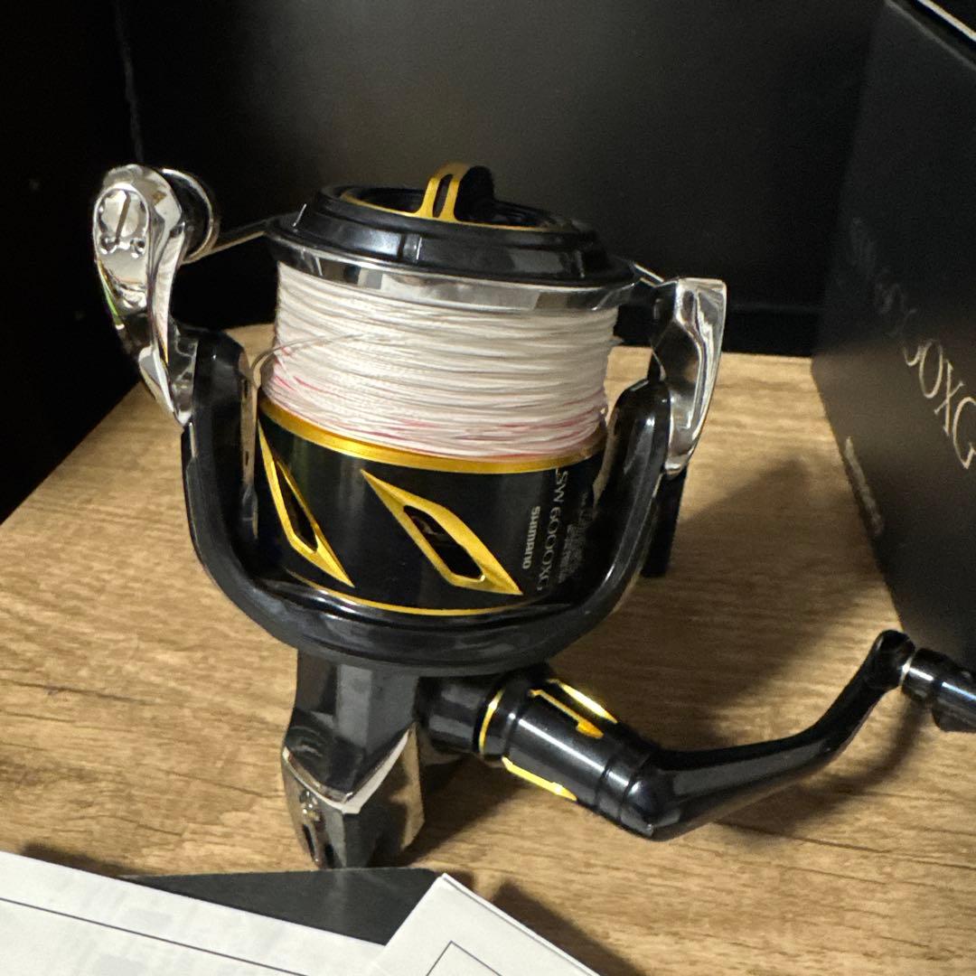 リール SHIMANO STELLA sw6000xg