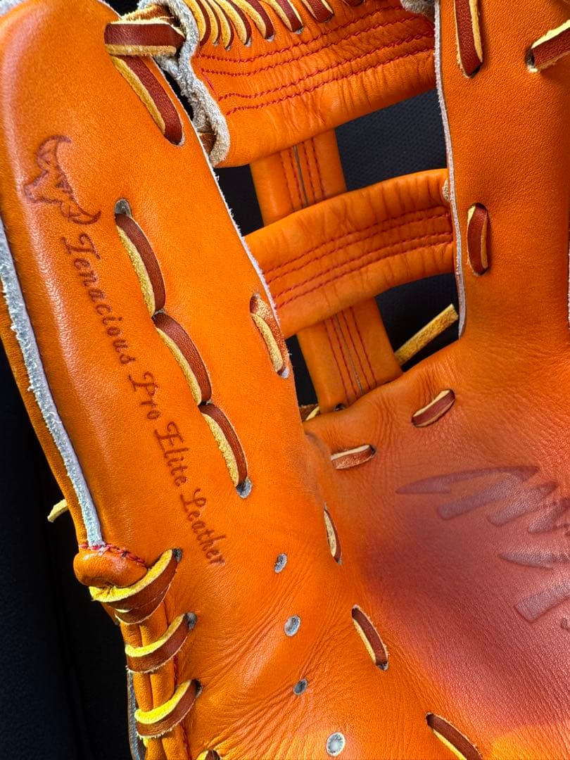 Mizuno 硬式用グローブ　テネイシャスプロエリート