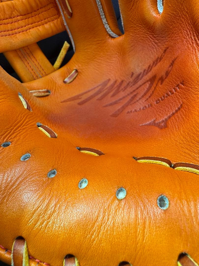 Mizuno 硬式用グローブ　テネイシャスプロエリート