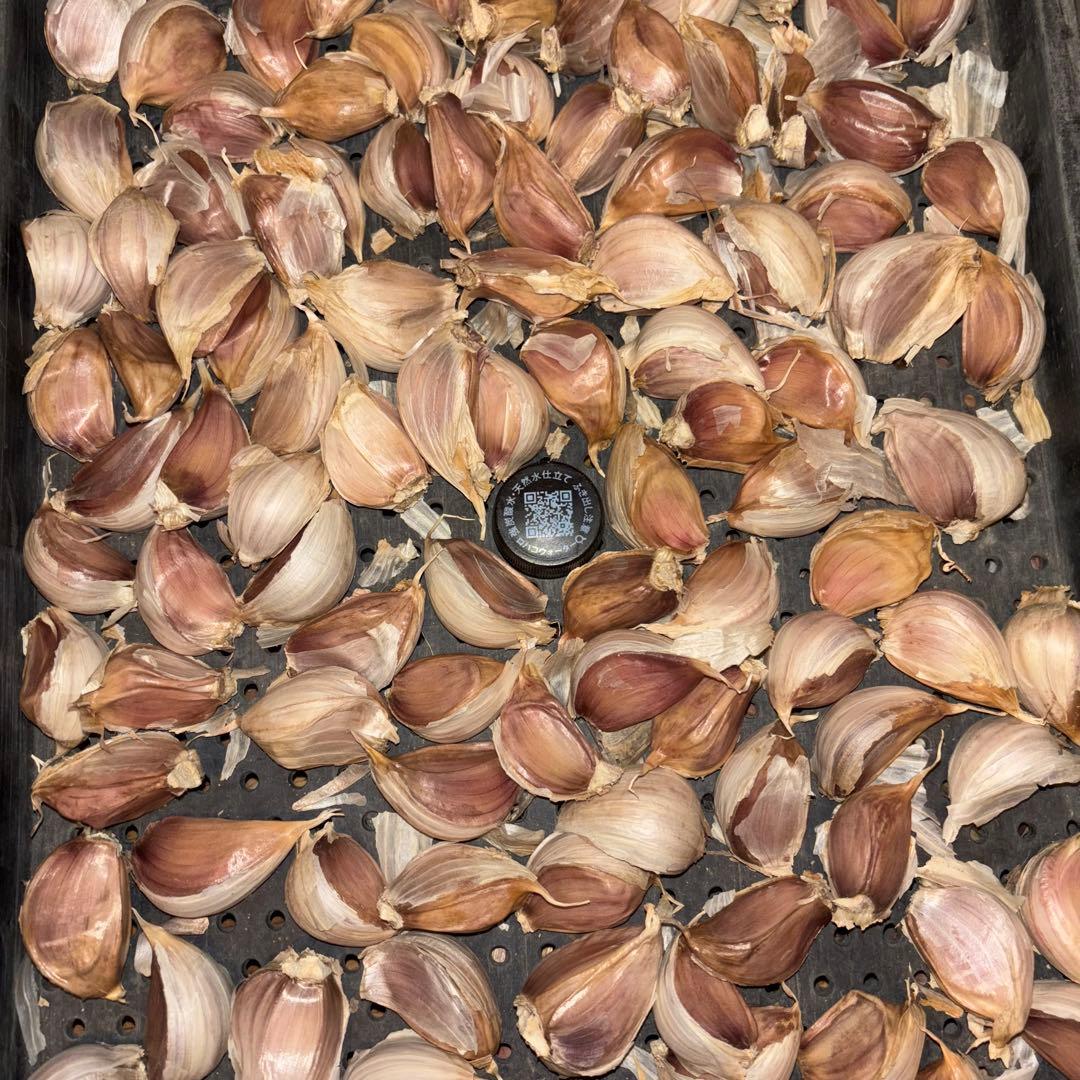 みみ様　ご確認用