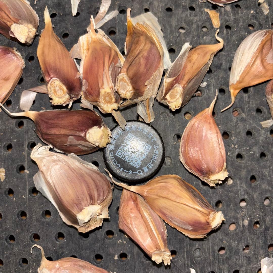 みみ様　ご確認用