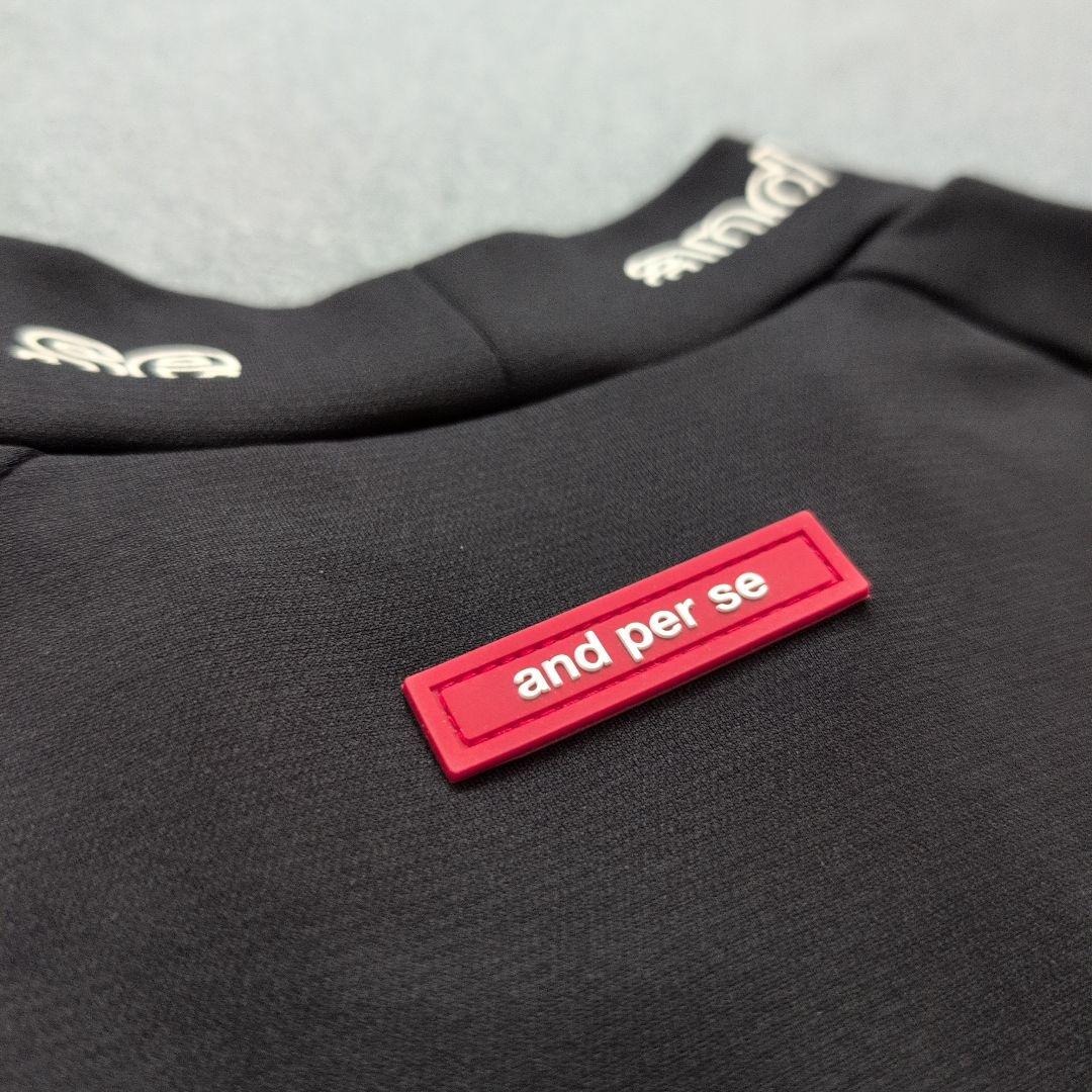 【極美品】アンパスィゴルフ　モックネックシャツ長袖　サイドライン　黒　L