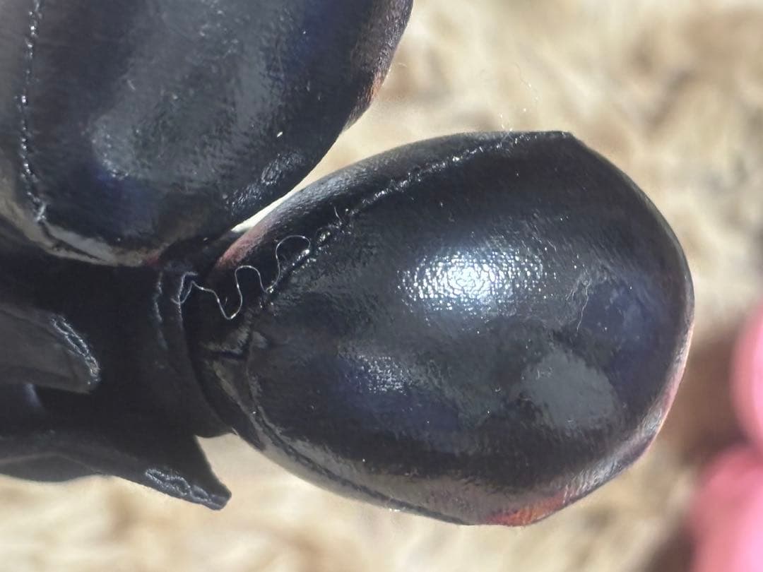 ビッグバンドビート ぬいぐるみバッジ ミッキー ミニー