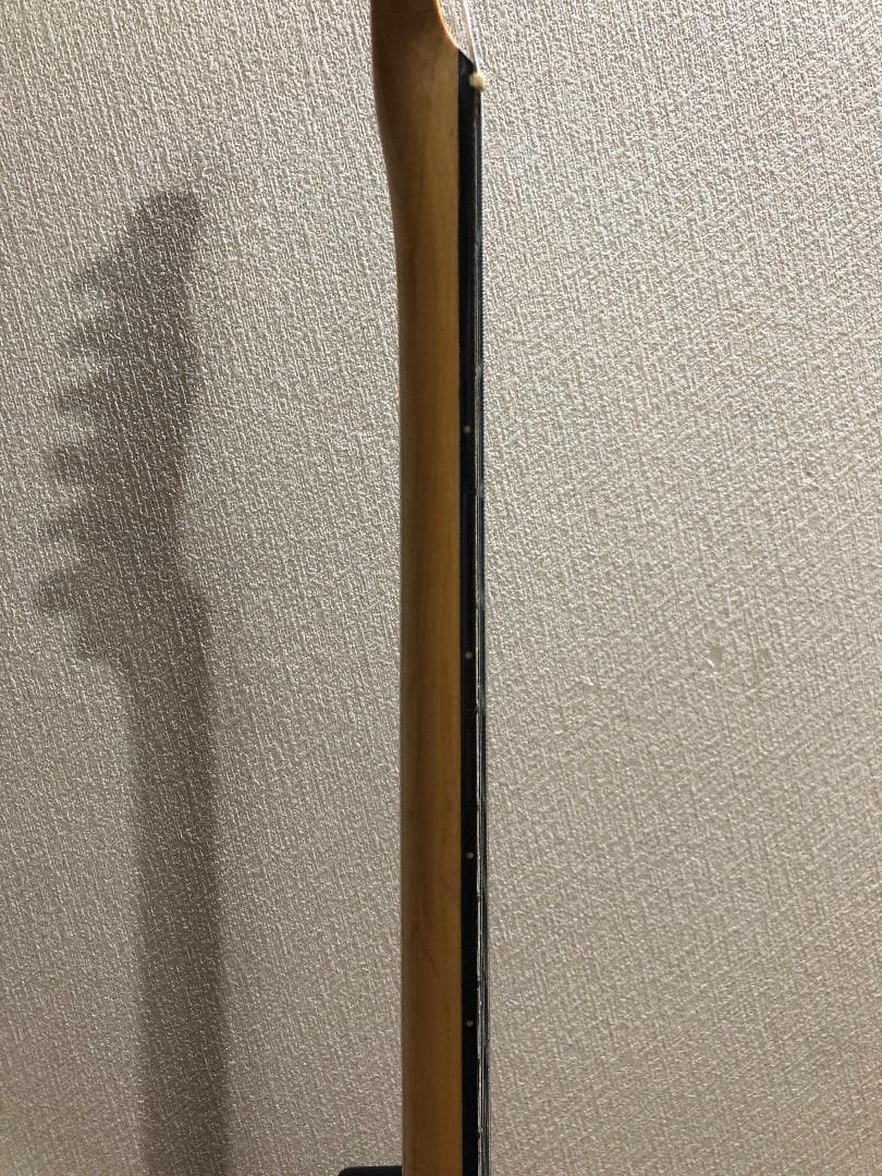 Bacchus BTE-350R テレキャスター