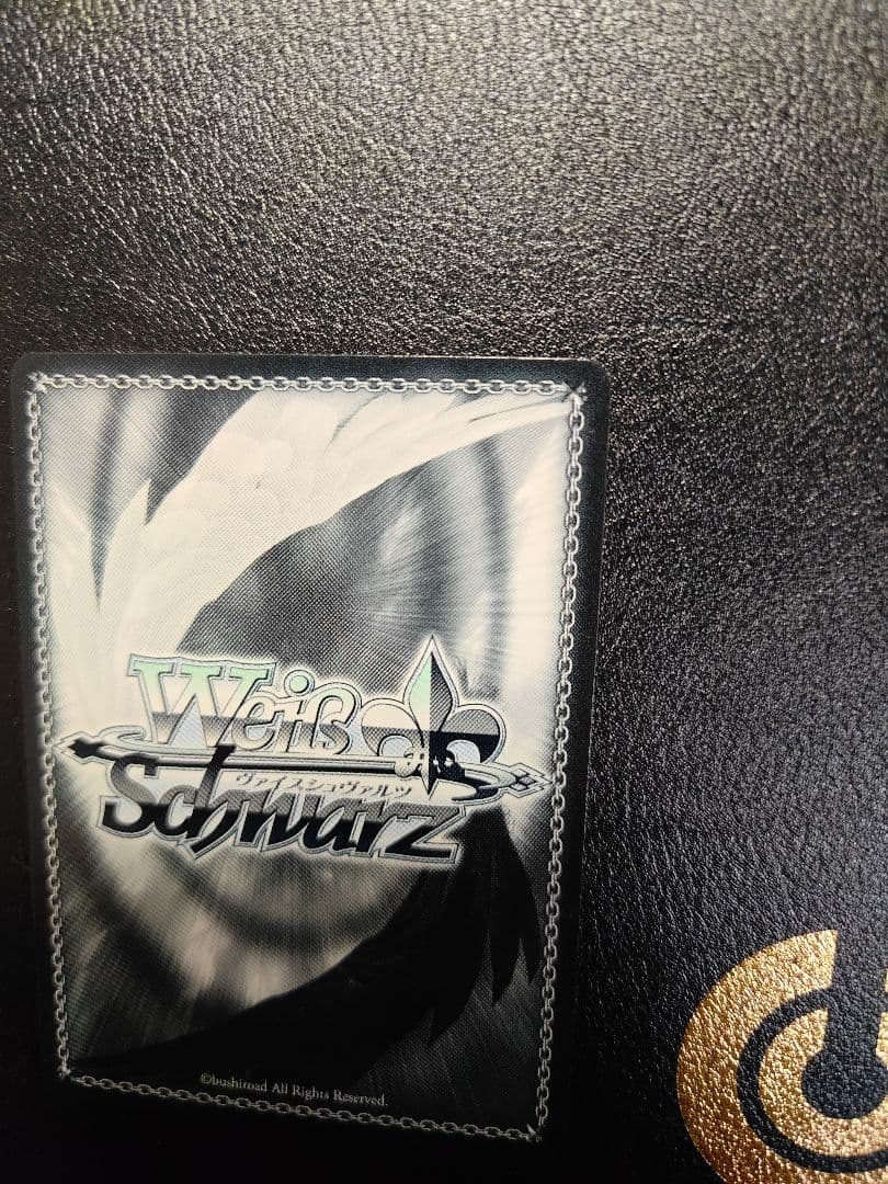 Dream Believers 大沢 瑠璃乃　SEC