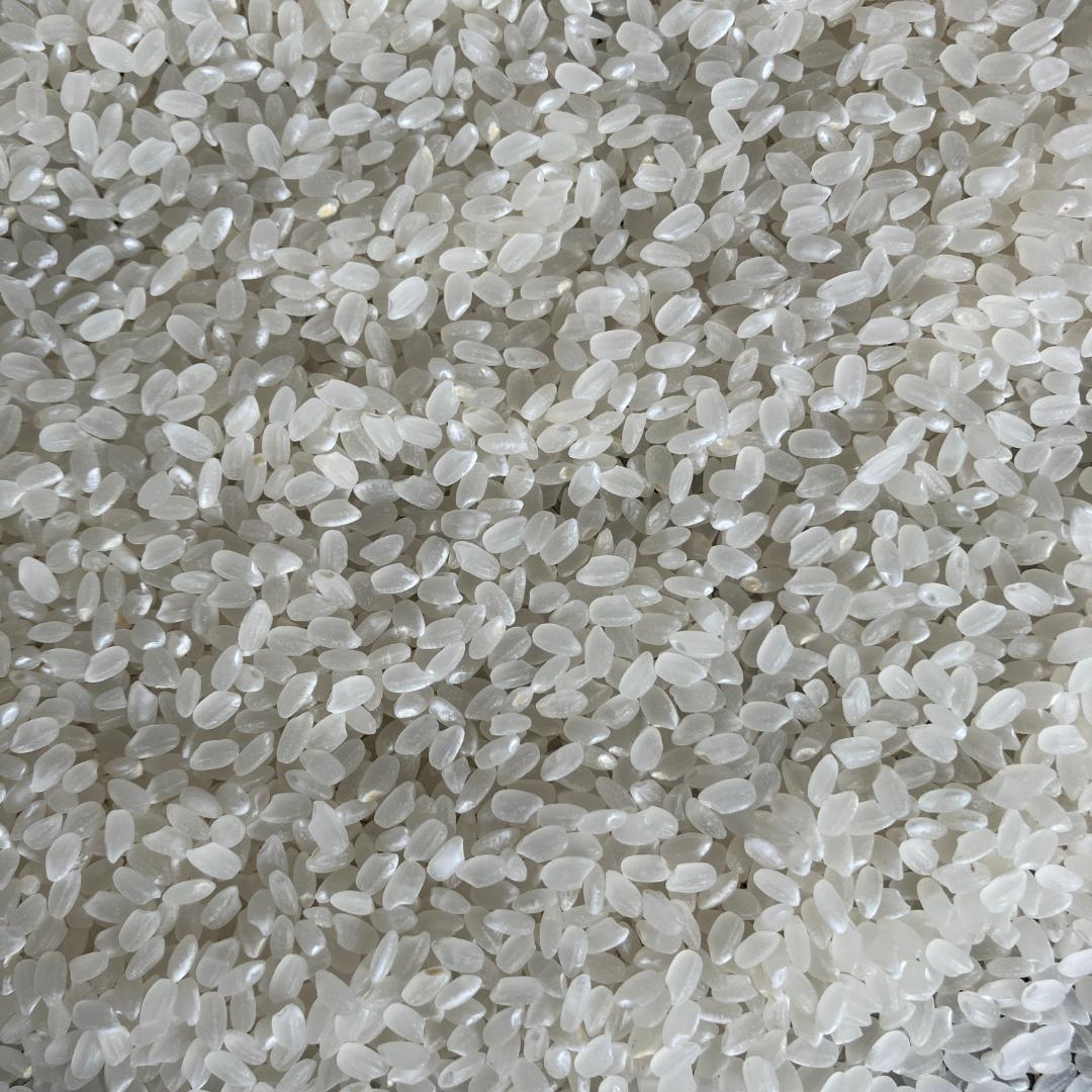 魚沼産コシヒカリ　令和7年産　白米　10キロ　米農家直送①