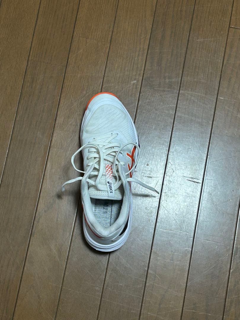 バレーボールシューズSKY ELITE FF MT 3ハイカットタイプ26.5