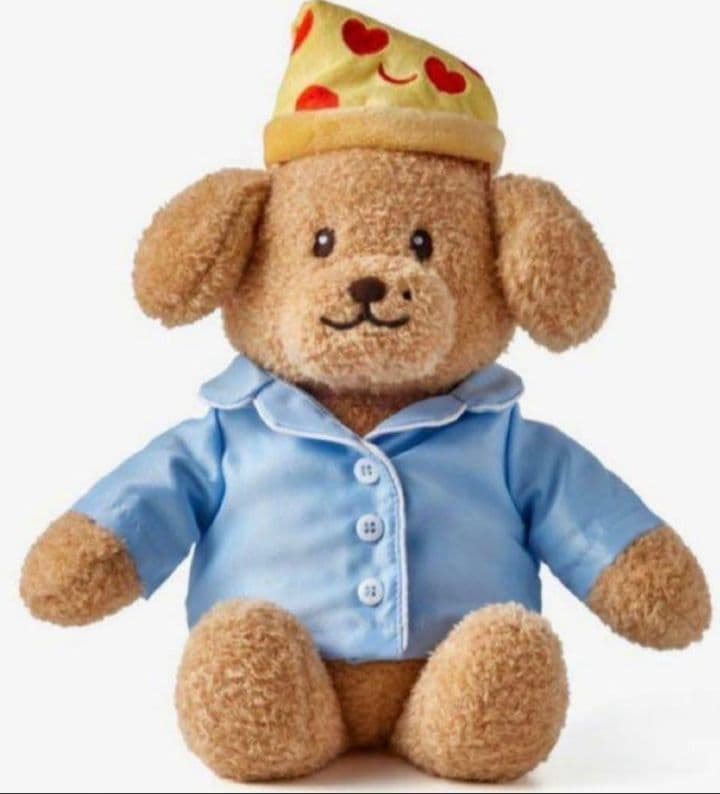 SEVENTEEN　アーティストメイド　ドア　ドギョム