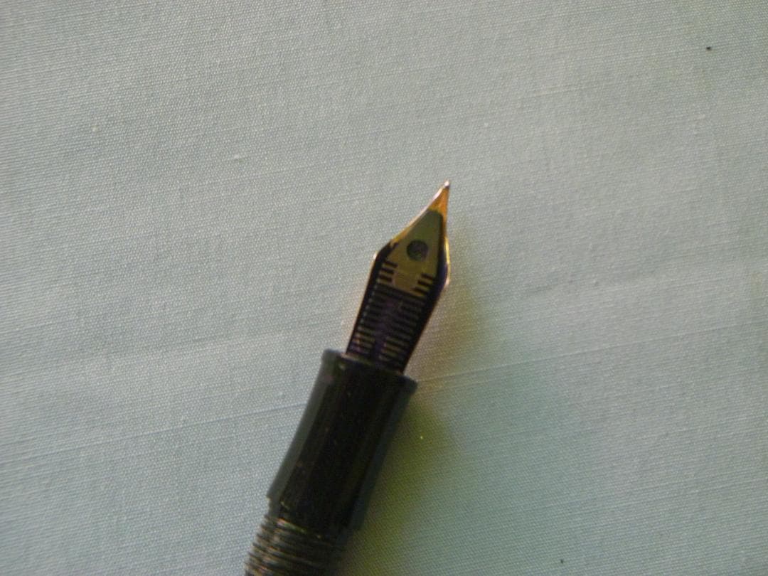 屋久杉光明・トラ杢万年筆