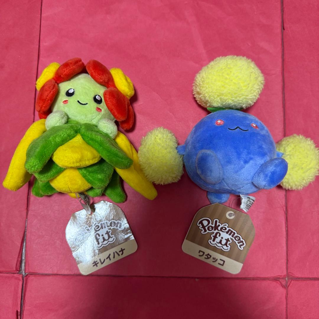新品 ポケモン ポケモンfit ぬいぐるみ セット まとめ売り My151