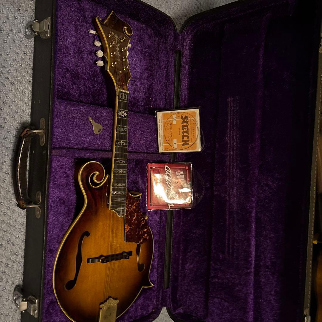 Samick Fタイプ フラットマンドリン ハードケース付き