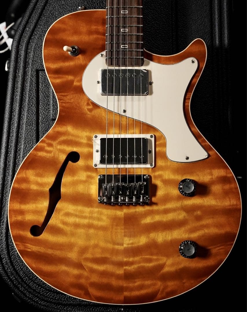 ⭐︎レア⭐︎ PJD Guitars Carey limited