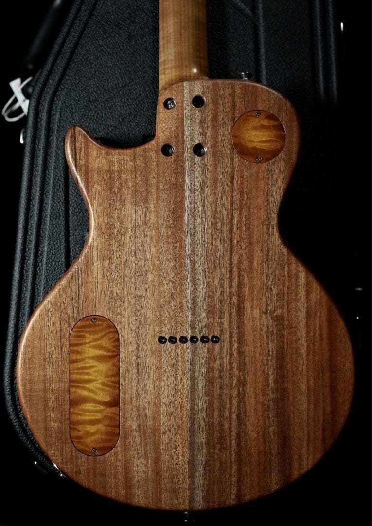 ⭐︎レア⭐︎ PJD Guitars Carey limited