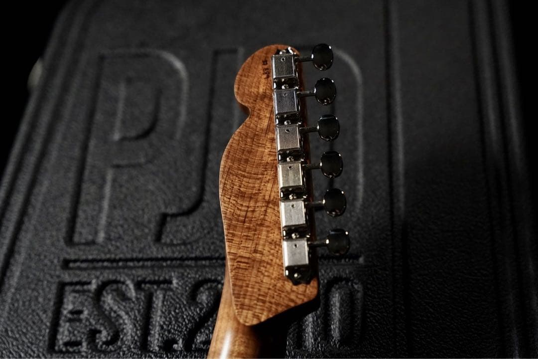 ⭐︎レア⭐︎ PJD Guitars Carey limited