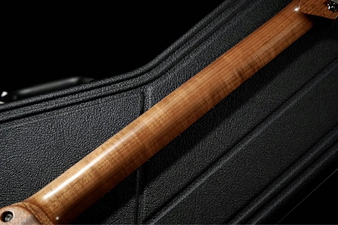 ⭐︎レア⭐︎ PJD Guitars Carey limited