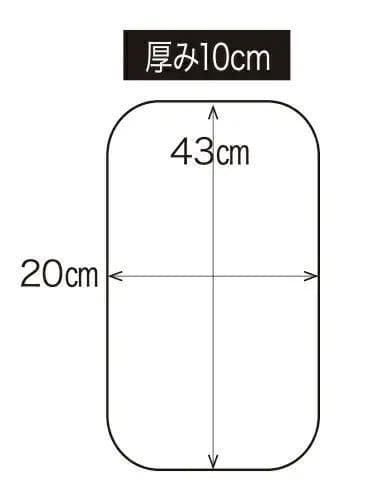 ISAMI キックミットTS FS-12（2個セット）