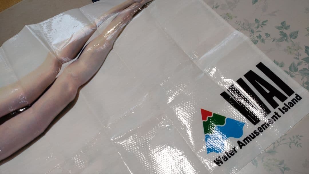 未使用　貴重　巨匠・アラーキー　荒木経惟✕藤原紀香　非売品　レジャーシート　芸術