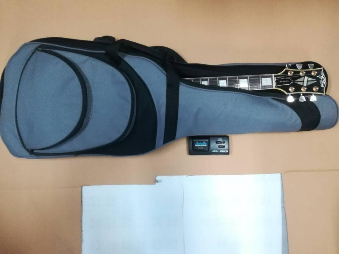 キ*ン様 GRECO EG600 CUSTOM 本体＋ソフトケース＋ギターチュー