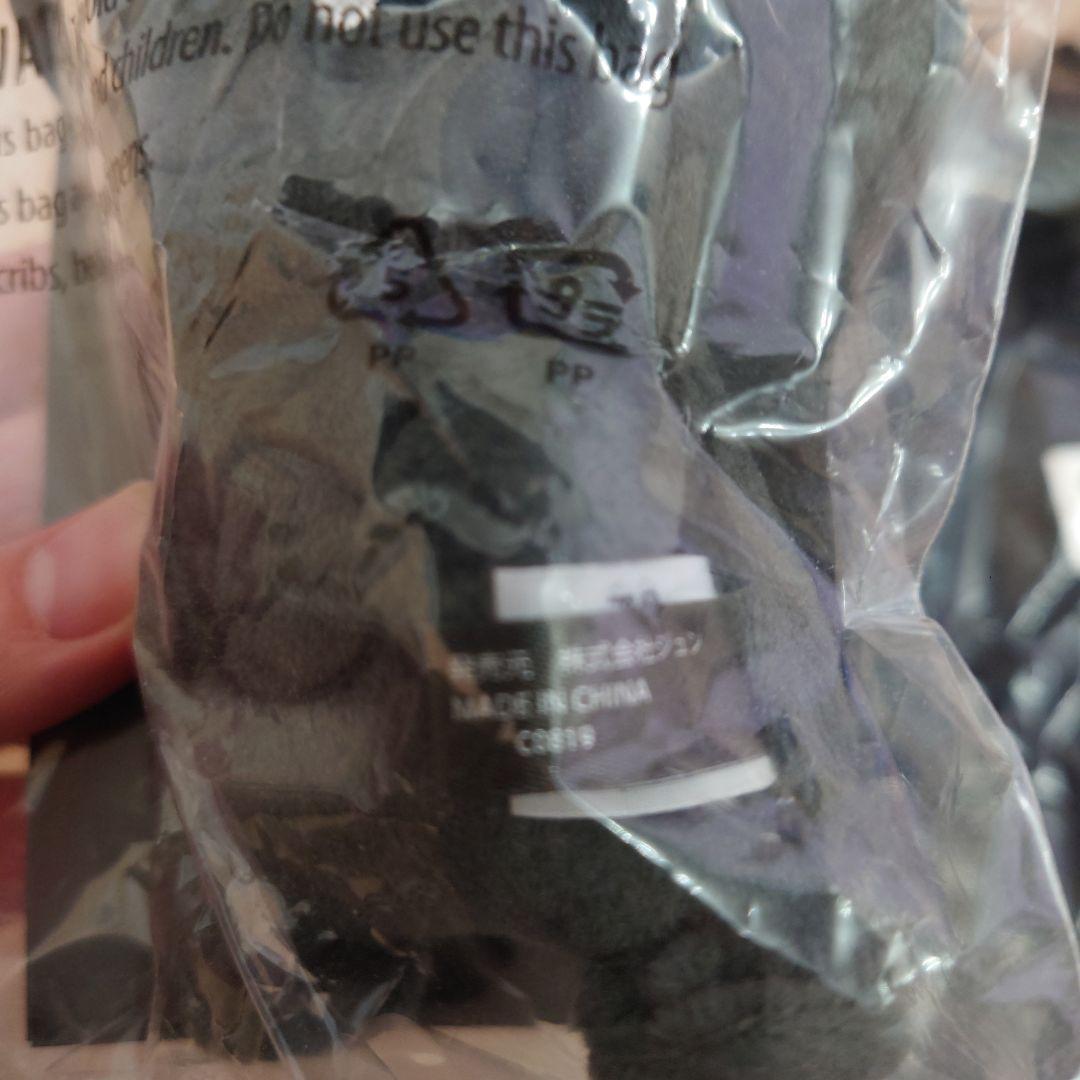 サンダーボルトプロジェクト　ブラックピカチュウ