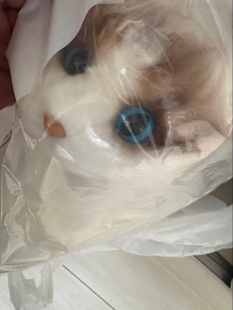 猫 ネコ ぬいぐるみ 置物 新品未使用 実物約50cm