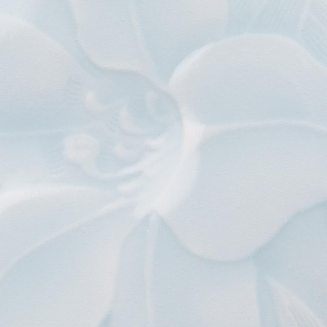 塚本快示 人間国宝 青白磁 百合文 皿 共布 共箱 未使用