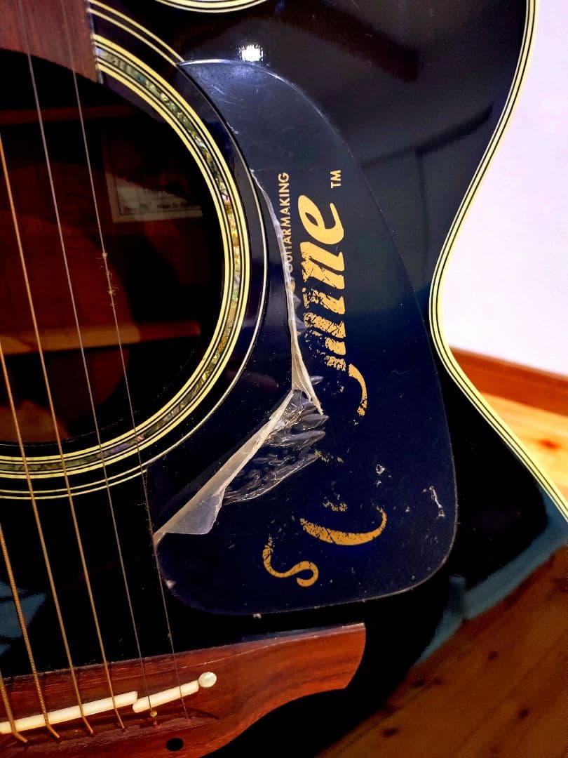 長渕剛モデル Takamine DMP500-6BL