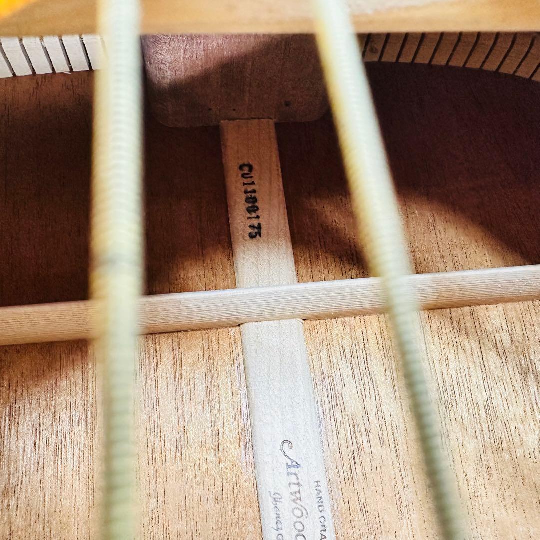 ibanez アコースティックギター　artwood AW-10