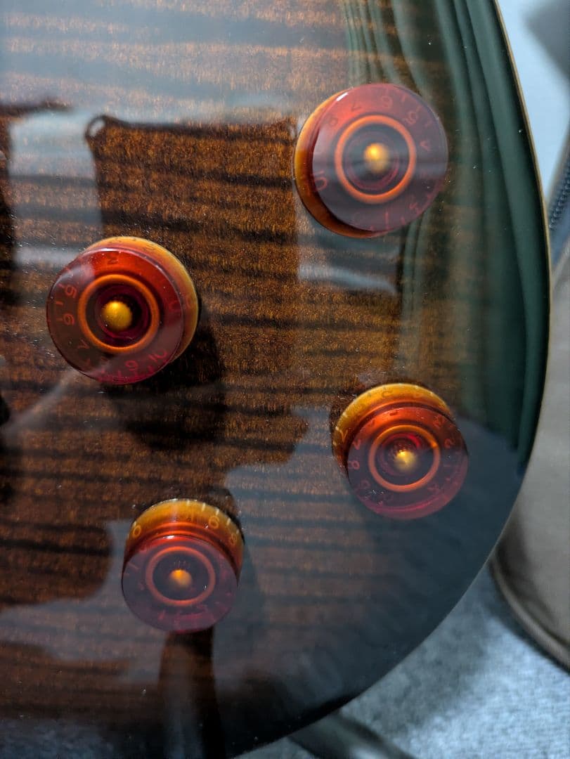 Paul Reed Smith McCarty 594 SE ギター