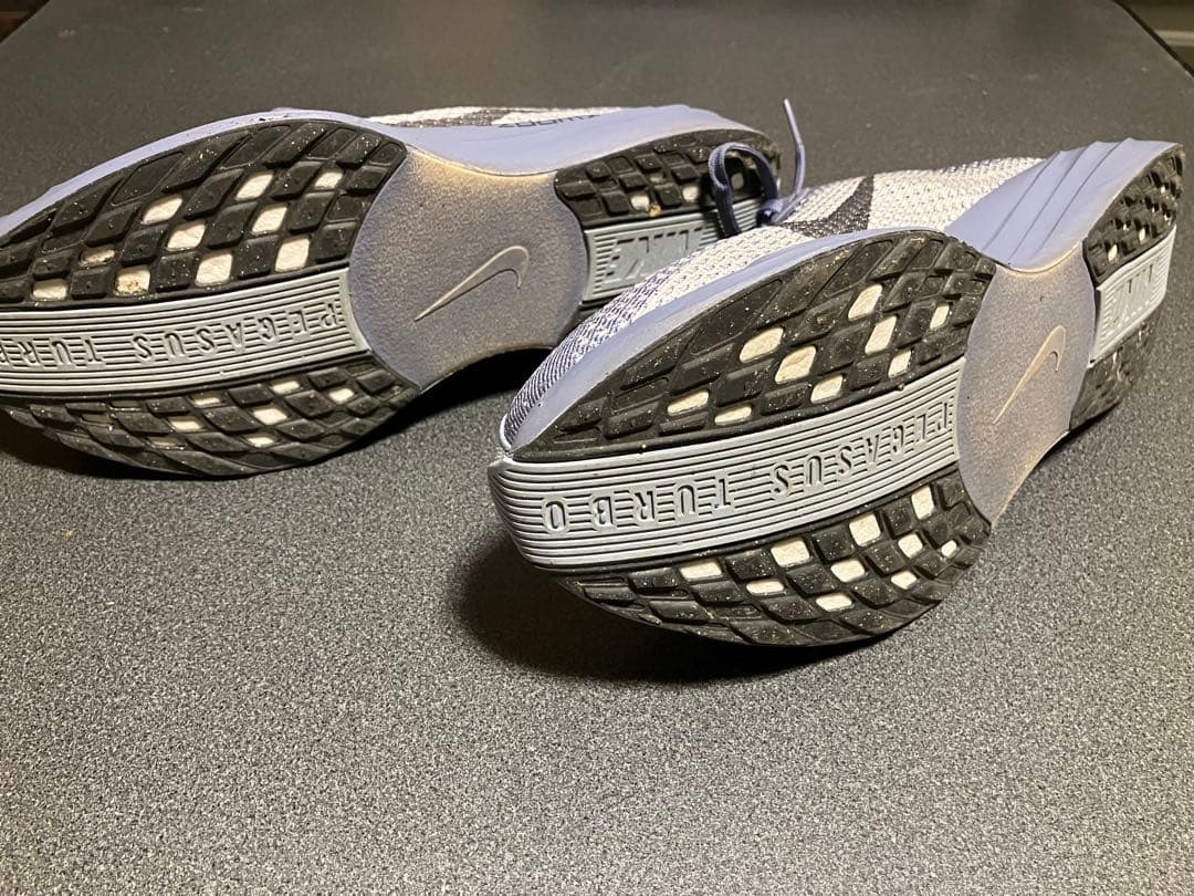 Nike ペガサスプラス 27.5㎝