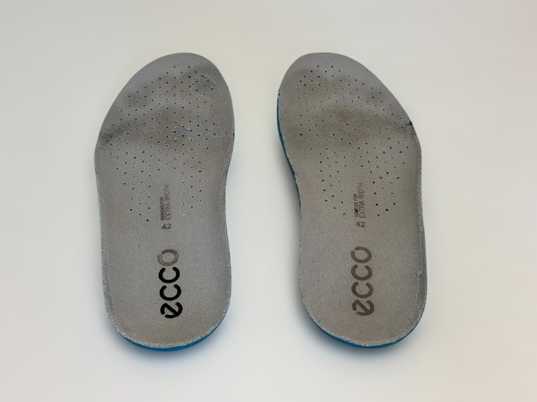 （みっちゃん専用）ecco BIOM C4 BOA GORE-TEX ×2