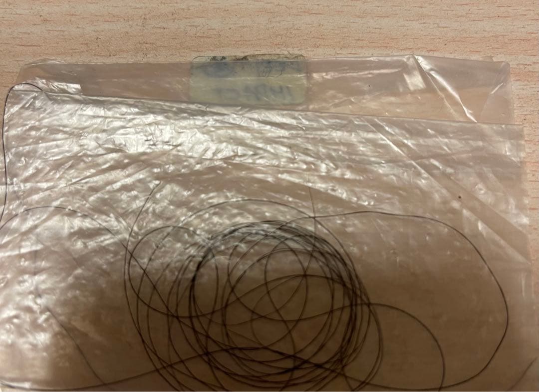 ディープインパクト 尾毛 馬毛 【本物】値下げOK