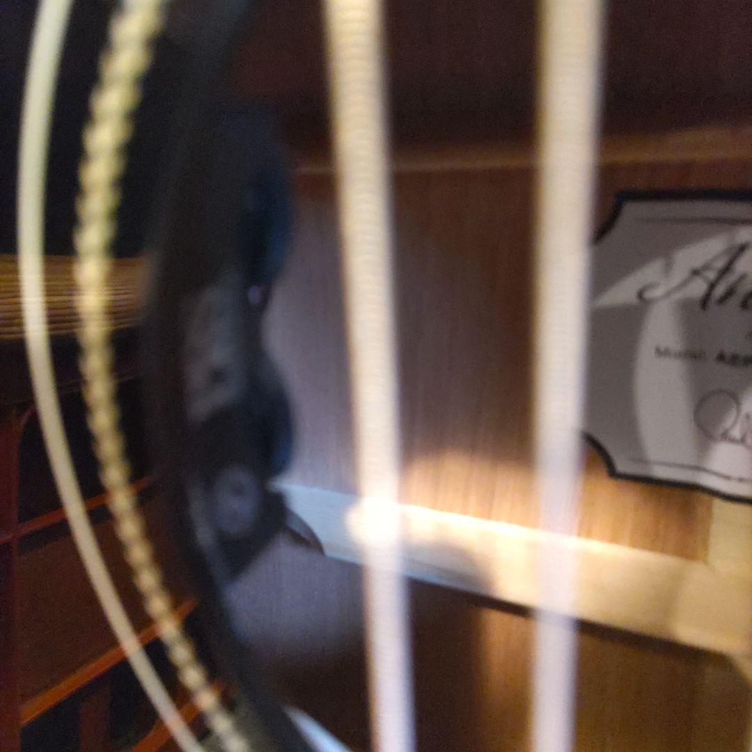 PRS SE A20E エレアコ (管理カキ)