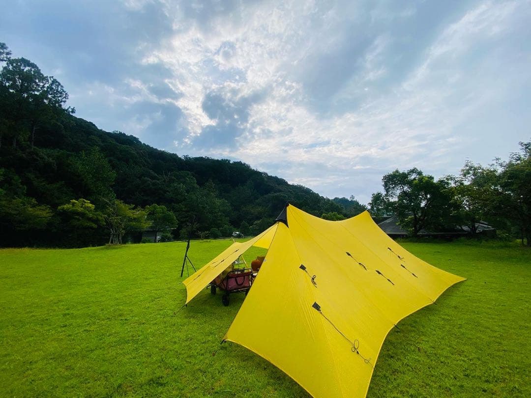 最安値ローカスギアソリスシル