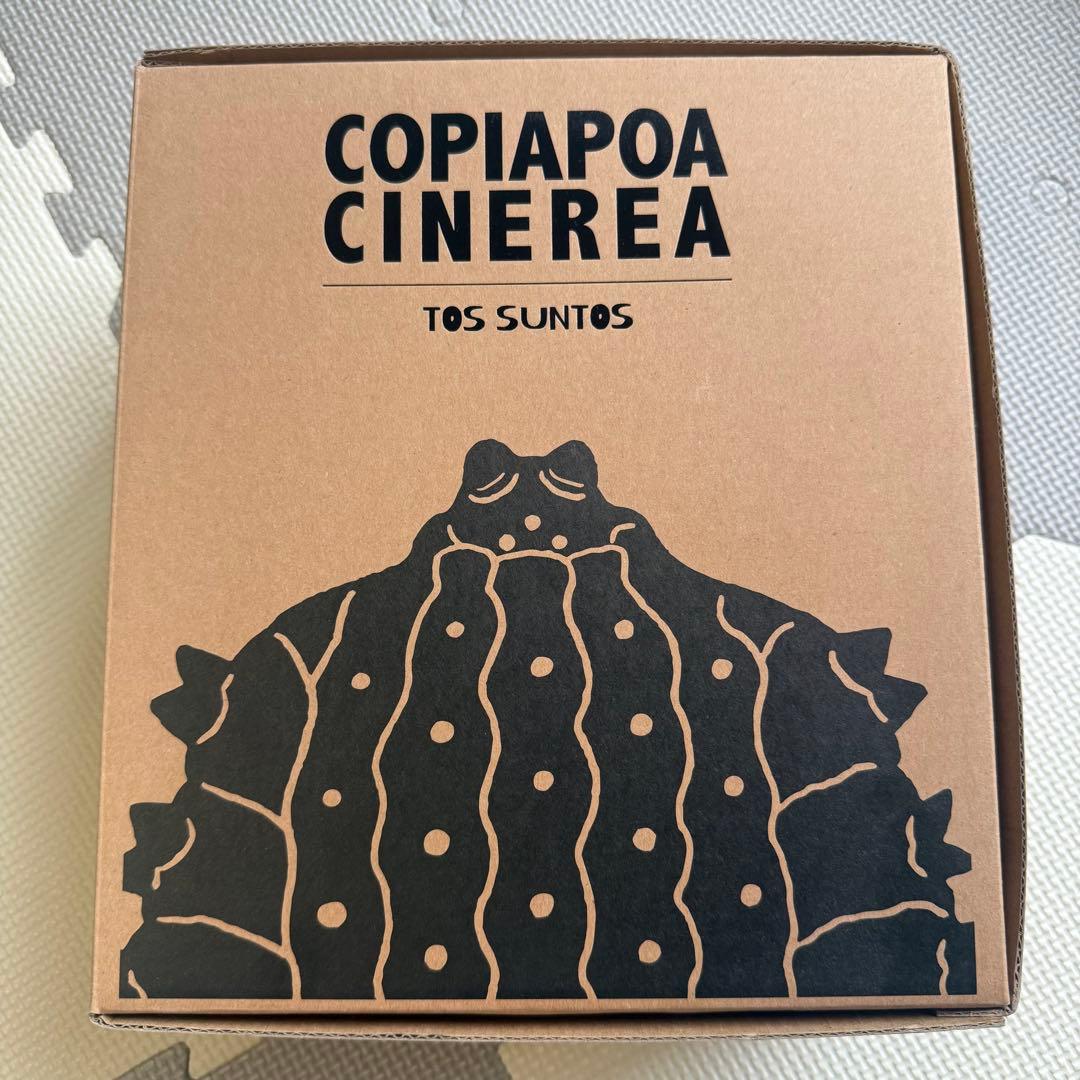 羅本製所robinceramicstudio Duo Exhibition