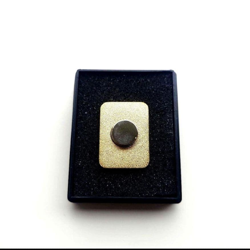 【非売品】beyond 2020 ピンバッジ おもてなし