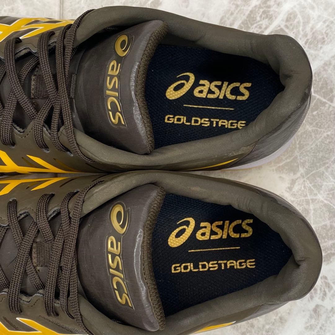 まつ　アシックス ゴールドステージ ファング