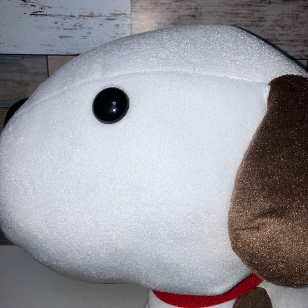 リトルチャロ　BIG　ぬいぐるみ　新品　タグ付き