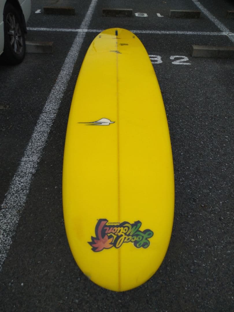 女性も安心！ロングボード9.5フィート