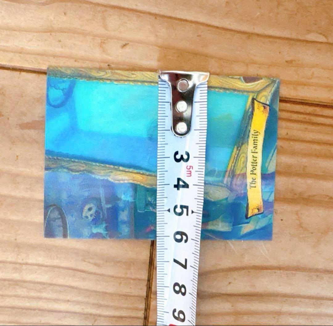 ハリーポッター　カエルチョコ　3DカードThe Potter Family