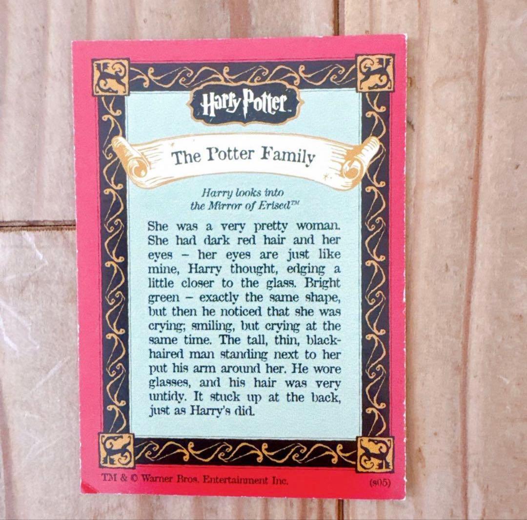 ハリーポッター　カエルチョコ　3DカードThe Potter Family