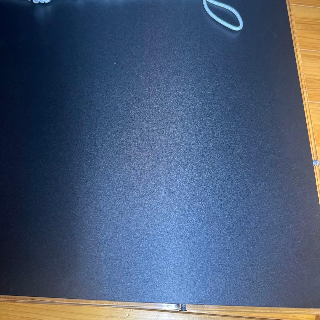 エルメス　ステファンウィルソン　アートパネル