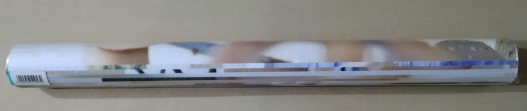 未開封 小島瑠璃子 カレンダー 2015年 CL-176 e