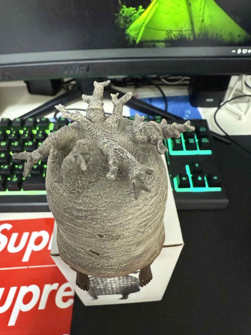 新品 ozwrt BaobabMan バオバブマン　ssサイズ