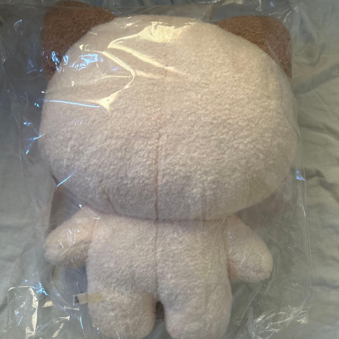 zeroni フラットぬいぐるみ　ジャンハオ　ゼロニzb1 ハニニ hanini