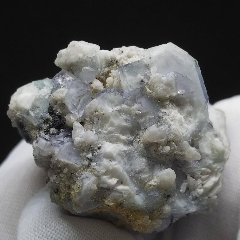 329 ポーセリンフローライト