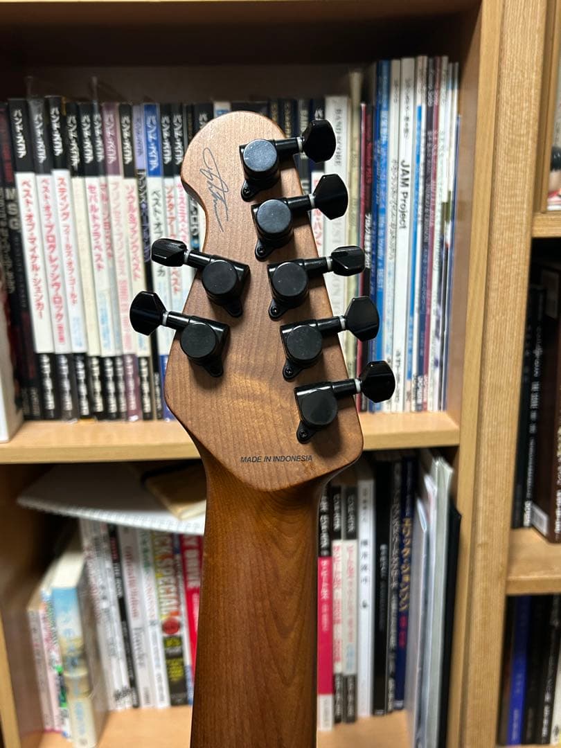 Sterling Richardson7 7弦ギター リチャードソン7