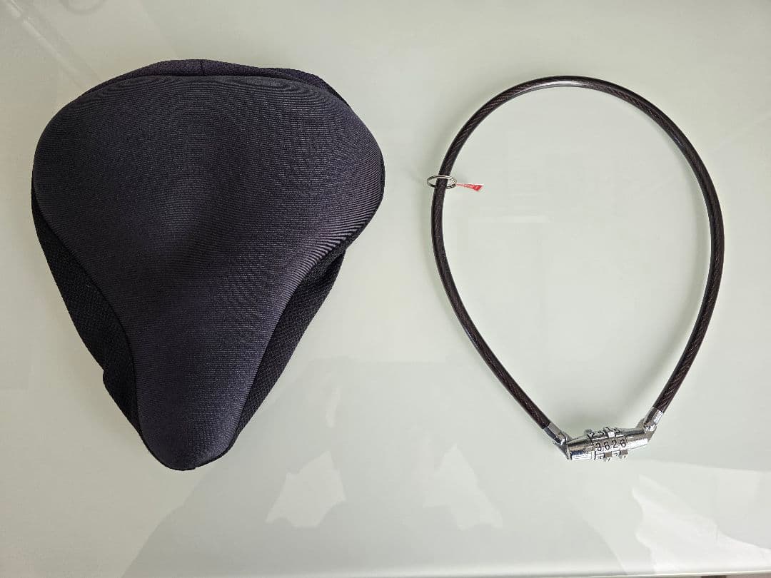 PELTECH ペルテック TDN-212L 折りたたみ電動自転車