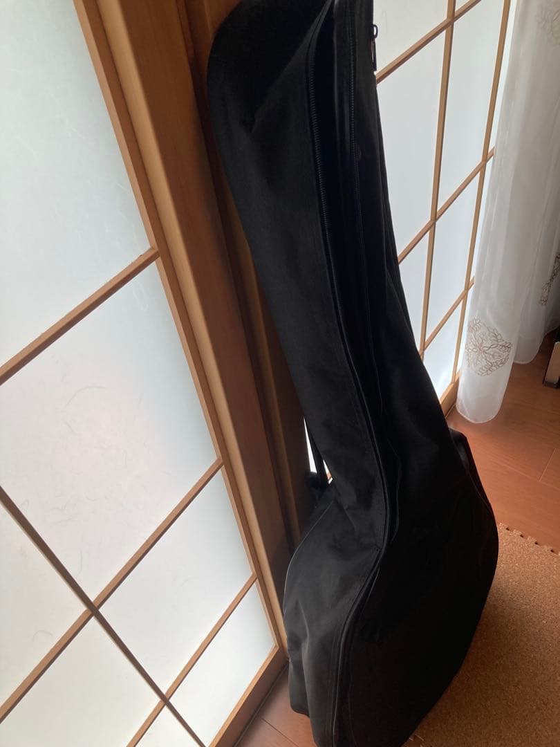 Takamine アコースティックギター pt 105