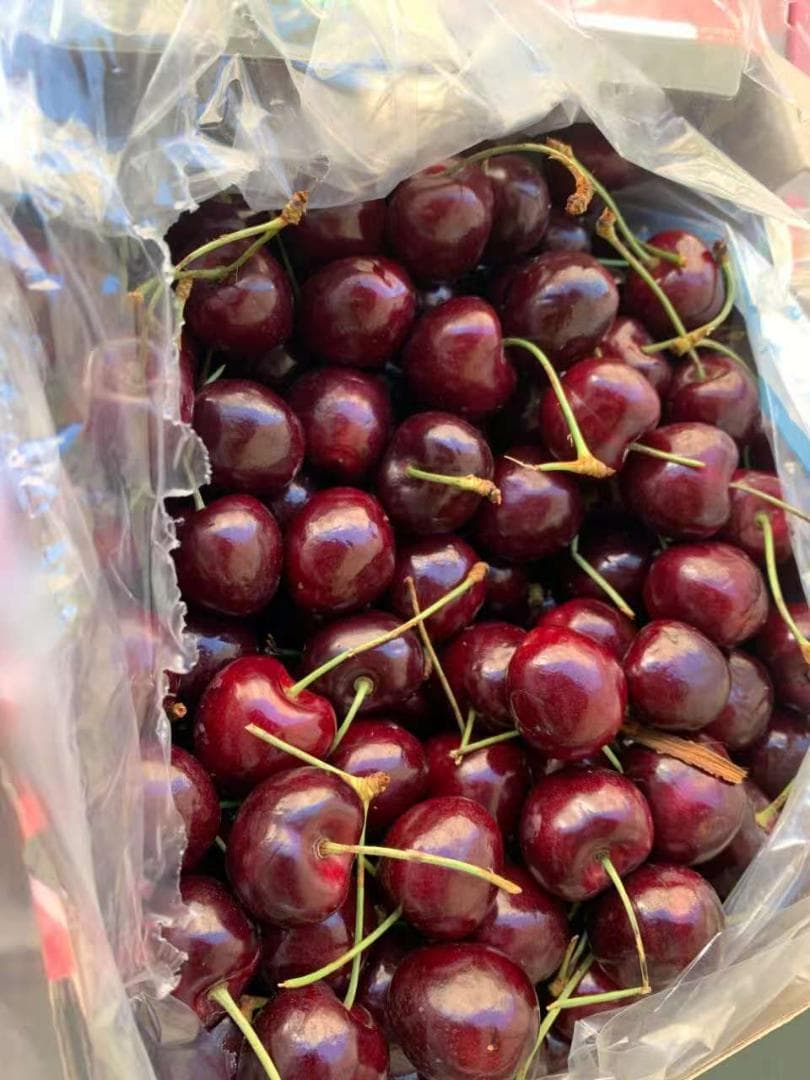チリー産　空輸　チェリー 約2.5kg 　大粒4Jサイズ